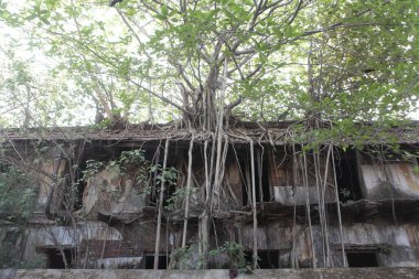 Vintage Building India 'nın dışı