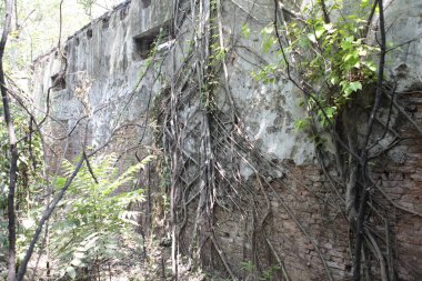Vintage Building India 'nın dışı