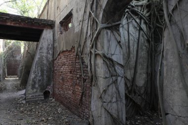 Vintage Building India 'nın dışı