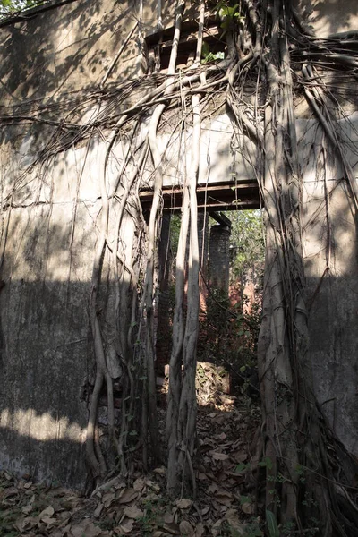 Vintage Building India 'nın dışı