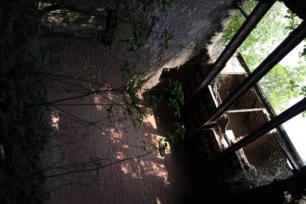 Vintage Building India Nın Dışı — Stok fotoğraf