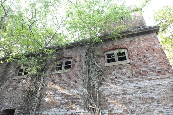 Exterior Vintage Building India —  Fotos de Stock