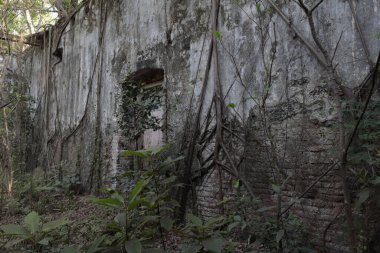 Eski taş duvar dokusu