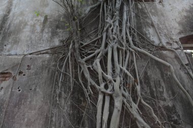 Eski taş duvar dokusu