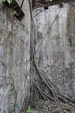 Eski taş duvar dokusu