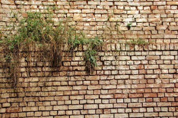 Eski Taş Duvar Dokusu — Stok fotoğraf