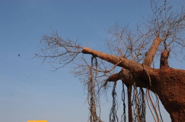 Boş Çekim seti Hindistan