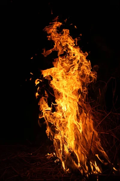 Požární Plamen Izolované Černém Pozadí — Stock fotografie