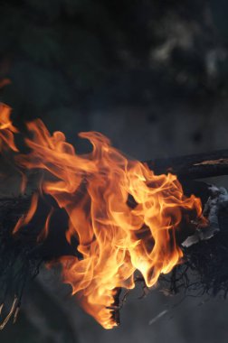 Ateş alevi siyah arkaplanda izole edildi