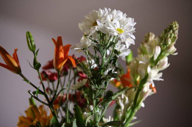 makro çekim çiçek