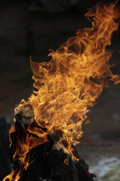 Flamme Feu Isolée Sur Fond Noir — Photo