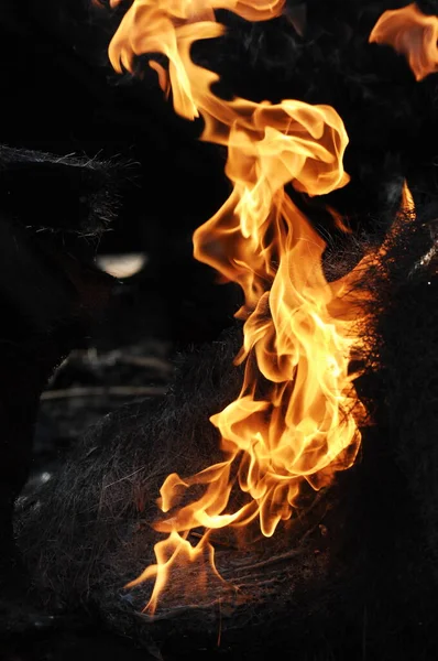 Ogień Odizolowany Czarnym Tle — Zdjęcie stockowe