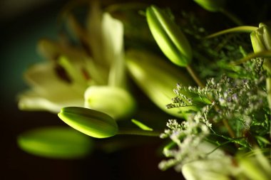 Çiçeğin makro görüntüsü