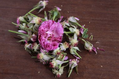 Çiçeğin makro görüntüsü