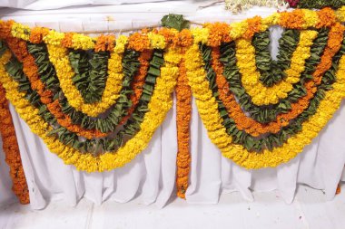 Çiçeğin makro görüntüsü