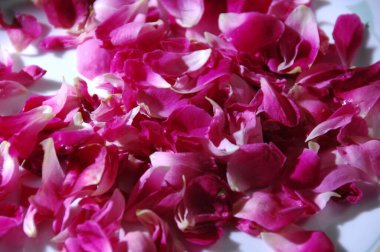 Çiçeğin makro görüntüsü