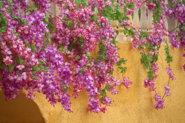 Ev 'de çiçek süslemesi