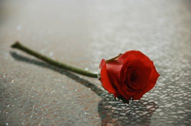 Çiçek dekorasyonu çalışıyor