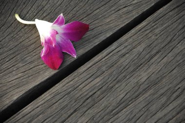 Çiçek dekorasyonu çalışıyor