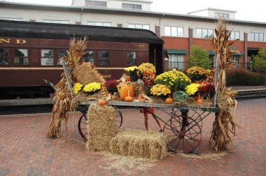 Bahçedeki çiçekler