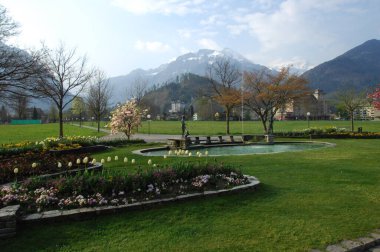 Bahçedeki çiçekler