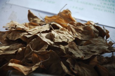 Bir Ayurveda formülasyonunun kapatılması