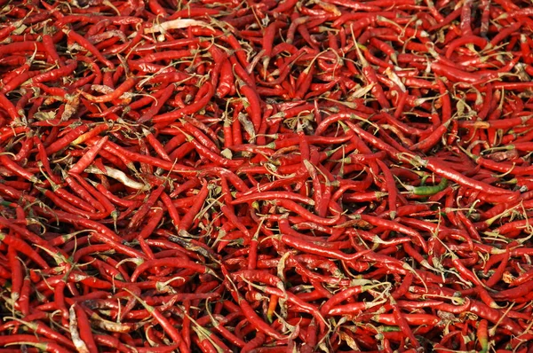 Närbild Röd Chilipeppar — Stockfoto
