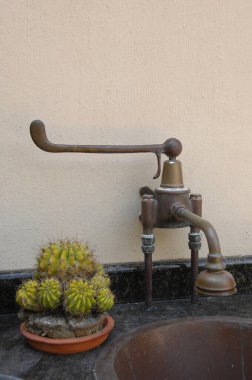 Meyvelerin yakın plan çekimi.