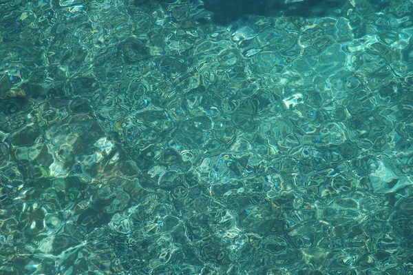 Pesci Allevamento Pesce Serbatoio — Foto Stock