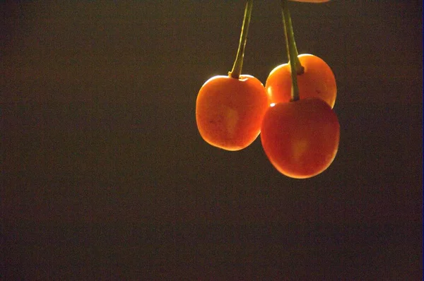 Closeup Shot Fruits — Stock Photo, Image