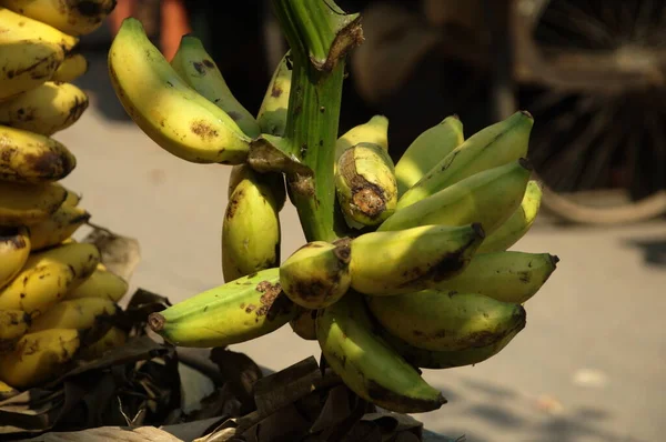 Primer Plano Frutas —  Fotos de Stock