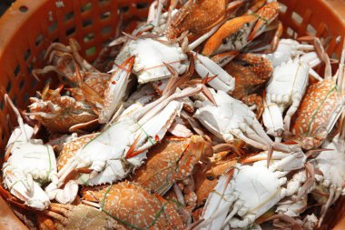 Hint Non vejetaryen Yemekleri