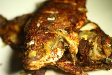 Hint Non Vejetaryen Gıda Balığı