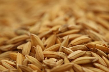 Pirinç değirmeninde pirinç