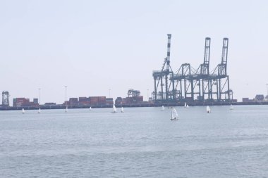 Limanda Ağır Turnalar