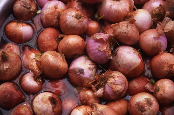 Penutup Dari Sebuah Bawang — Stok Foto