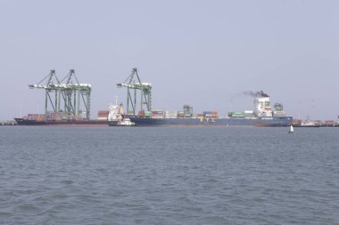 Limanda Ağır Turnalar