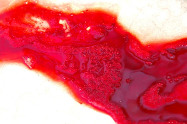 Fechar Sangue — Fotografia de Stock