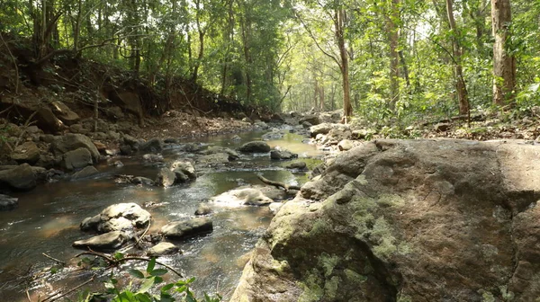 Air Mengalir Melalui Batu Berlumut Hutan — Stok Foto