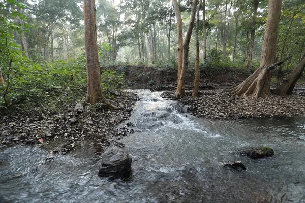 Water Stromend Door Mossige Rotsen Het Bos — Stockfoto