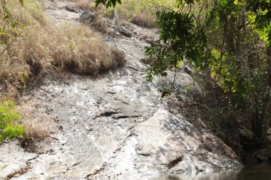 Rock Hill ve su birikintisi