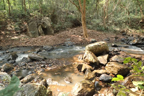 Água Corrente Através Rochas Musgosas Floresta — Fotografia de Stock