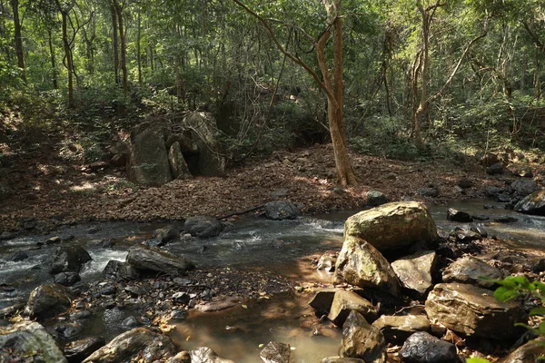 Acqua Che Scorre Attraverso Rocce Muschiose Nella Foresta — Foto Stock