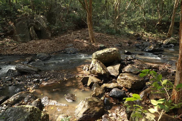 Água Corrente Através Rochas Musgosas Floresta — Fotografia de Stock