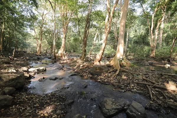 Água Corrente Através Rochas Musgosas Floresta — Fotografia de Stock