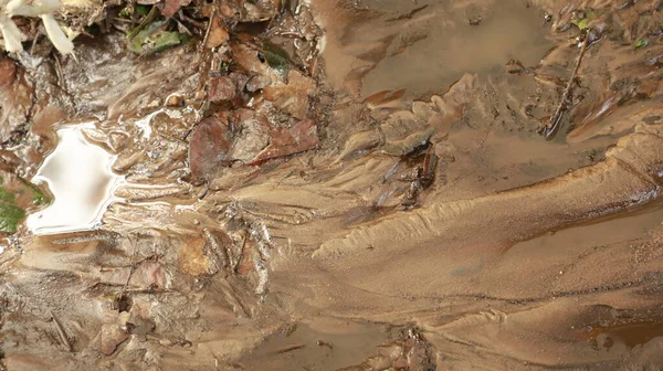 Wet Mud Texture Rural Area — Foto de Stock