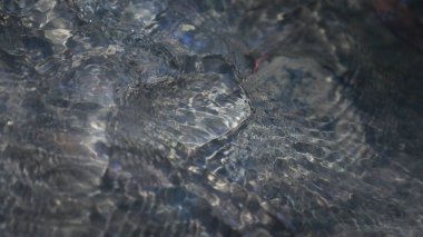 Bulanık Su Dokusunu Özetle