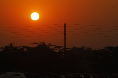 Birds on Power cable