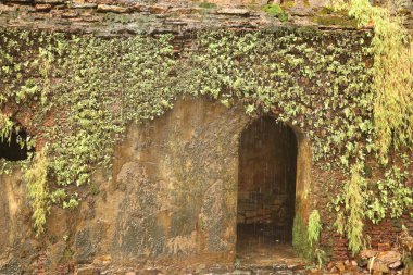 Pandav Falls Madhya Pradesh Hindistan