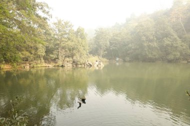 Pandav Falls Madhya Pradesh Hindistan